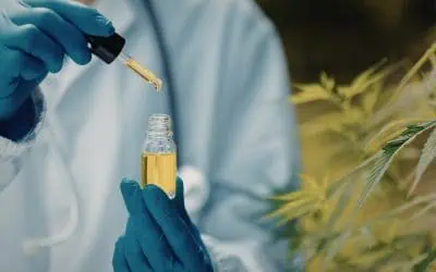 Cannabis Nurses Network Responds to DOJ Marijuana Rescheduling: A Turning Point for Nursing, Policy, and Patient Care
