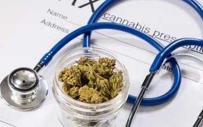 The Future of Cannabis as Medicine: Nurses, Researchers, and Advocates Lead a New Era of Healthcare