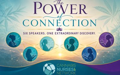 The Power of Connection